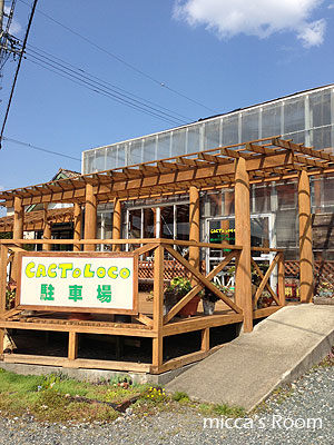 b0245038_20581414.jpg