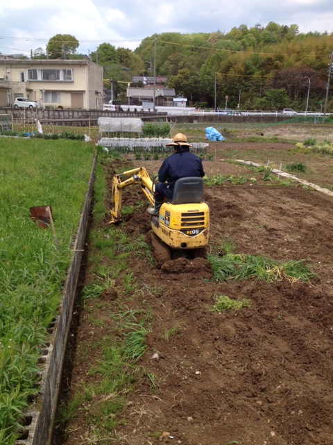 どろんこ遊びなのか・・・・畑仕事なのか??_f0065444_12352379.jpg