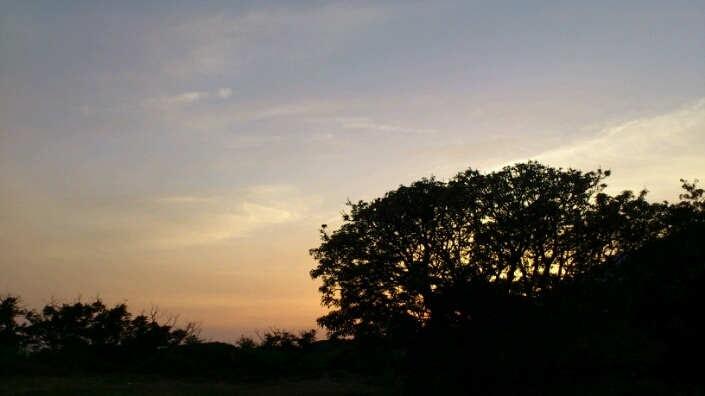 f0229844_19405960.jpg