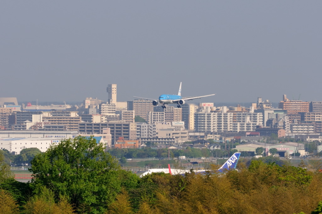 b0190445_197666.jpg
