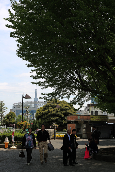 上野　雨の日と晴れの日と_c0035245_1534121.jpg