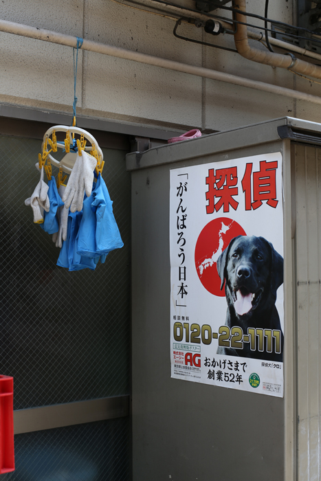 上野　雨の日と晴れの日と_c0035245_1572292.jpg