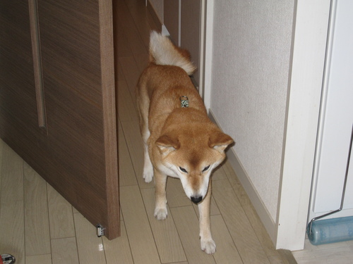f0245650_14545118.jpg