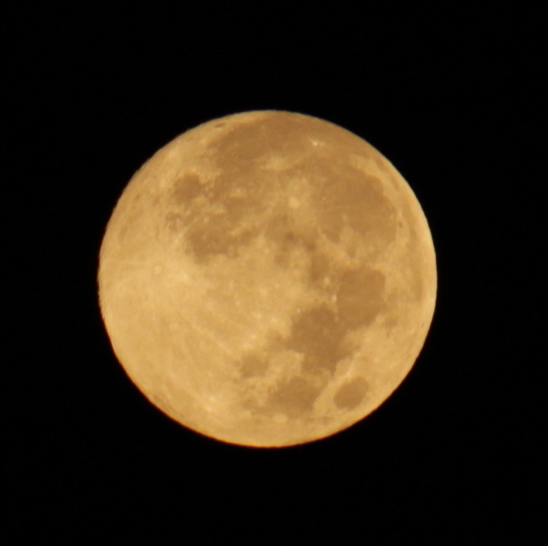 a0248459_22795.jpg