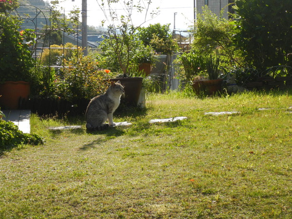 ’13,4,27(土)心ちゃん、モテ期到来?_f0060461_8575890.jpg