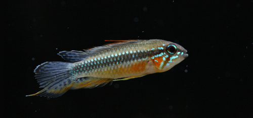 a0162263_8381650.jpg