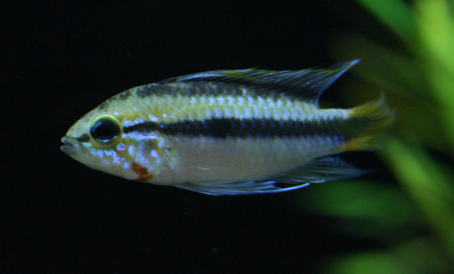 a0162263_839658.jpg