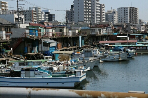 f0096666_801914.jpg