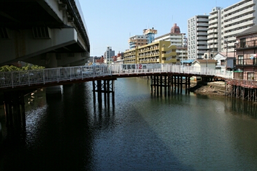 f0096666_84990.jpg