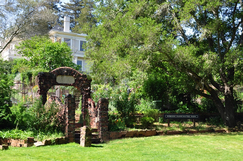 At Robson-Harrington park - San Anselmo #1　_a0126969_665455.jpg