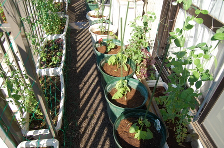 夏野菜の植え付けは連休前_c0199370_8554352.jpg