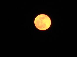 赤い満月、ライジング_e0175370_9155612.jpg