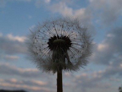落ち着け~自分!!_d0165772_2102274.jpg