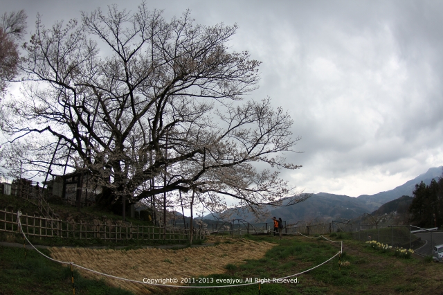 雨雲の下_e0218375_200983.jpg