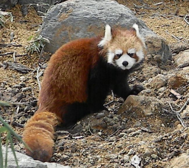 b0014576_2230141.jpg