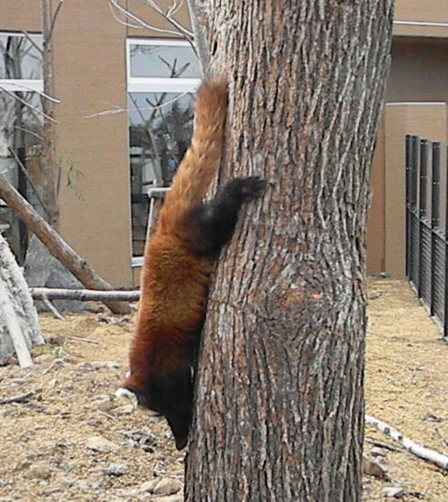 b0014576_22301867.jpg
