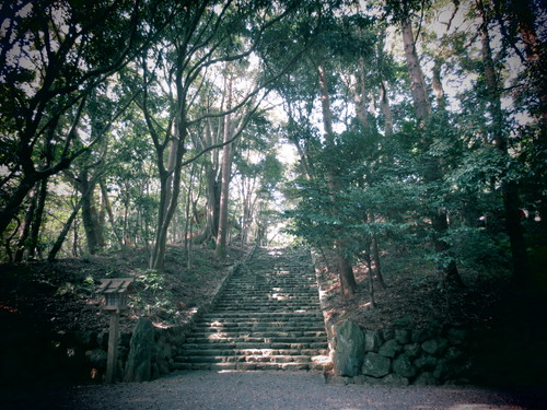 c0240877_17492341.jpg
