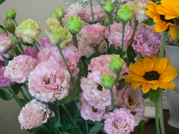 e0140986_12233016.jpg