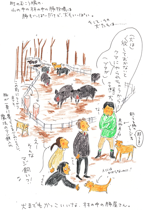 林の中の豚牧場_f0236291_2258128.gif