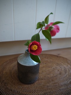 庭の花と修行の時間_a0233896_7444360.jpg