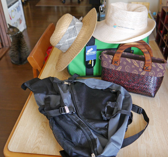d0071596_18344160.jpg