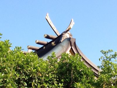 寒川神社_e0054299_20514869.jpg