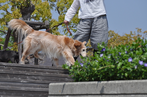 ウチの海公園へ_d0268608_2313489.jpg