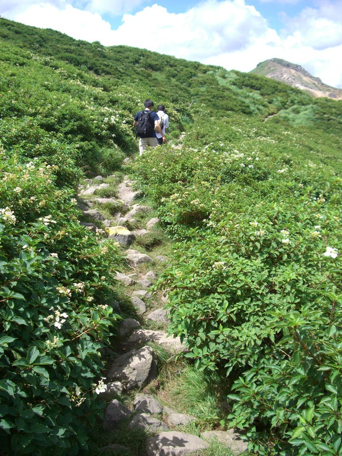 牧の戸峠からくじゅう登山_d0116009_10381857.jpg