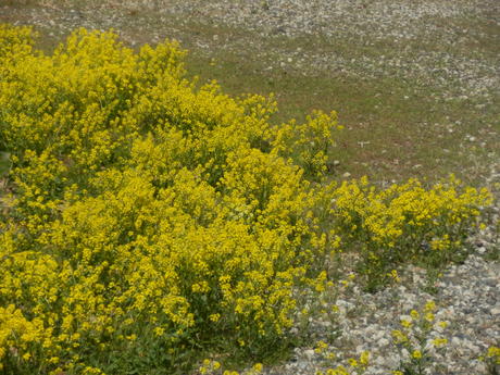 c0062511_23123250.jpg