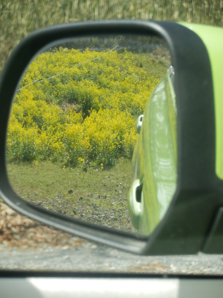 c0062511_23244777.jpg
