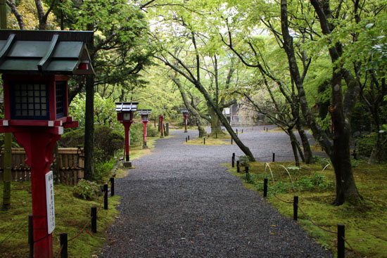 常照寺　こちらも青もみじ_e0048413_1915512.jpg