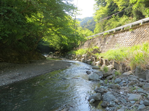b0121015_21293050.jpg