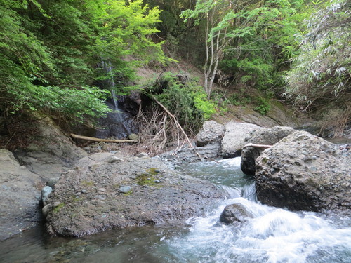 b0121015_21312362.jpg