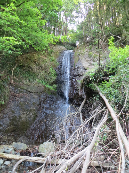 b0121015_21315651.jpg