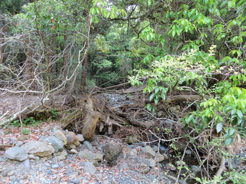 b0121015_21323860.jpg