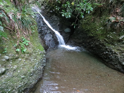 b0121015_21341533.jpg