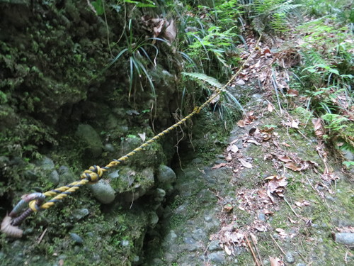 b0121015_21344579.jpg