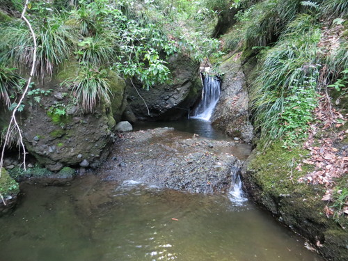 b0121015_2136353.jpg