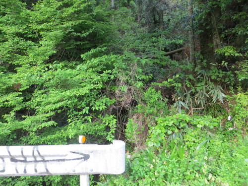b0121015_21381380.jpg