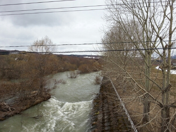 a0104020_6241912.jpg