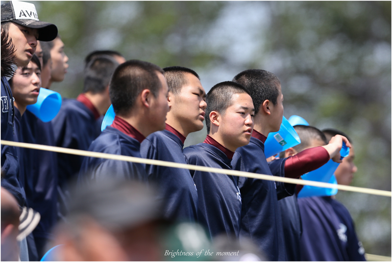 平成25年神奈川県高等学校野球春季大会準々決勝Ⅳ_e0200922_185441.jpg