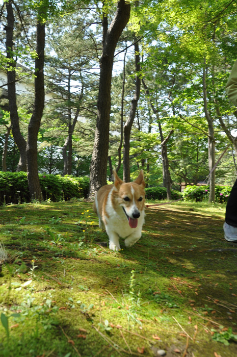 GWは横浜で_d0102523_1231291.jpg
