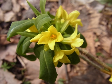 c0204725_14573454.jpg