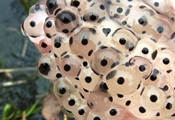 c0204725_1524894.jpg
