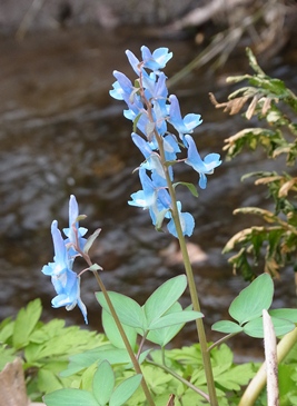 c0204725_162164.jpg