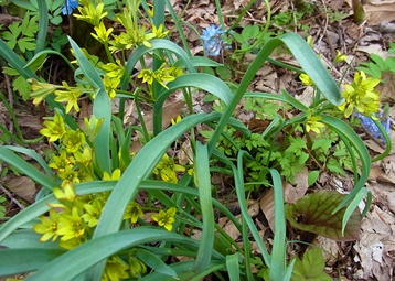 c0204725_1625962.jpg