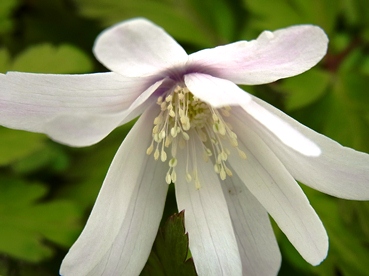 c0204725_162889.jpg