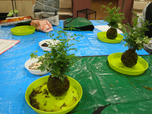 e0255026_020356.gif