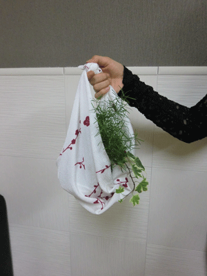 e0255026_0271859.gif