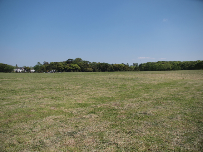 c0117831_2141883.jpg